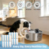8-Pack Replacement Filters & Sponges Only for WF400 Pet Water Fountain, Design for Stainless Steel Dog Water Fountain for Large Dogs (No Include Bowl)